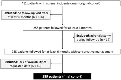 Are comorbidities of patients with adrenal incidentaloma tied to sex?